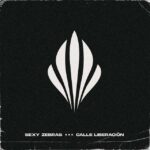 sexy-zebras-calle-liberacion-rocksesion